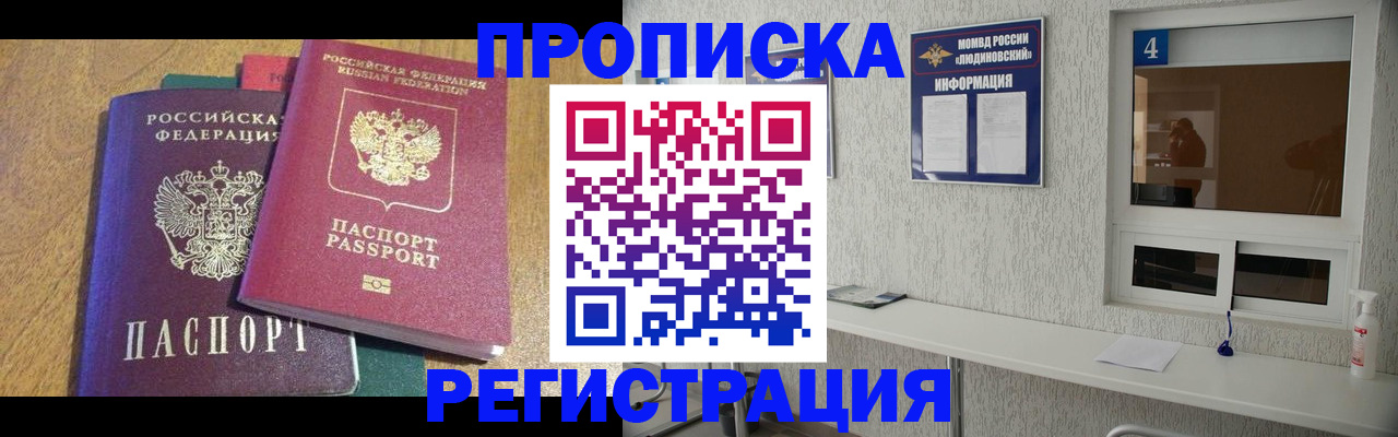 временная регистрация в Кингисеппе